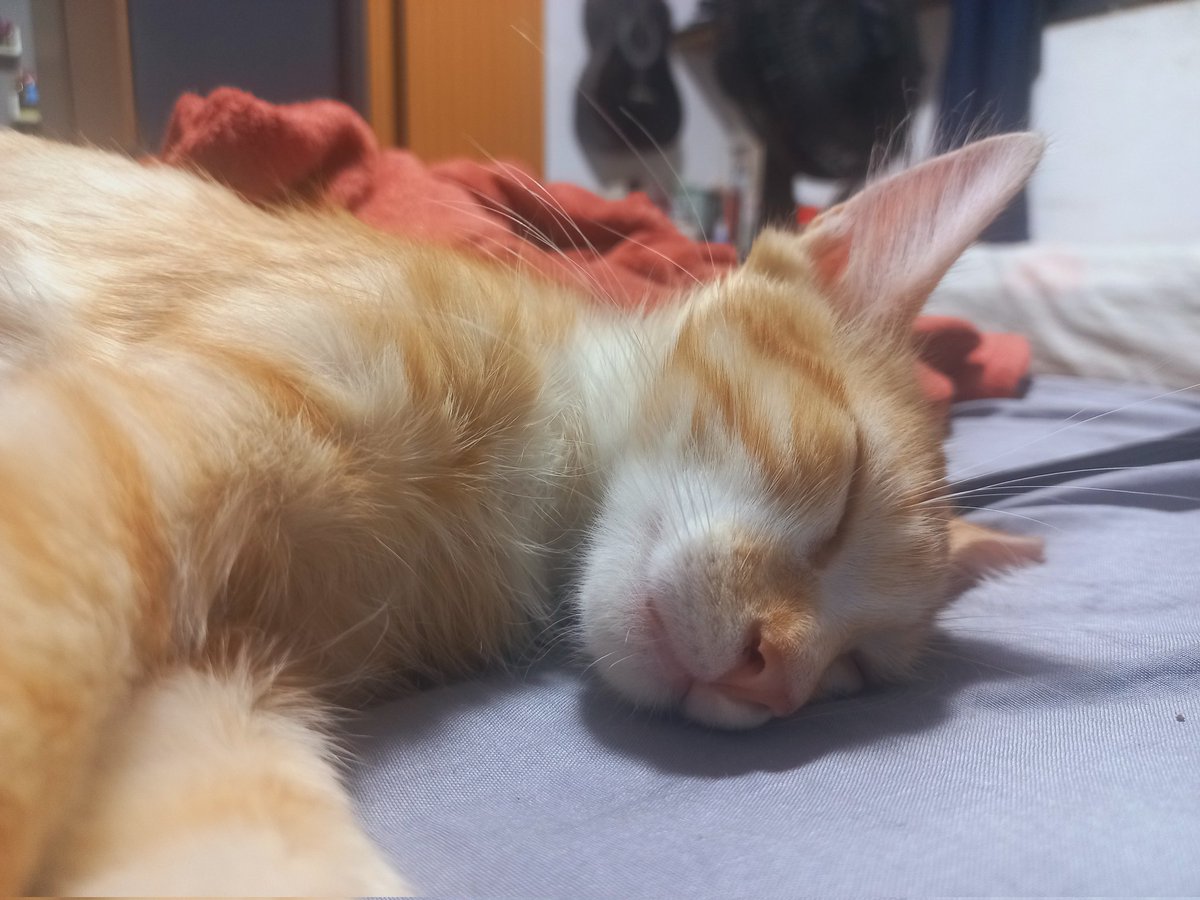 ᴅᴜᴅᴀ 🍷 tweet media