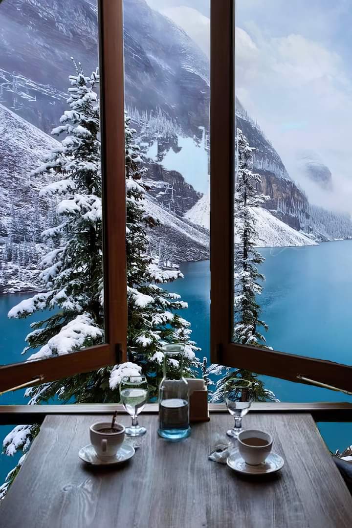 НеШиб tweet media