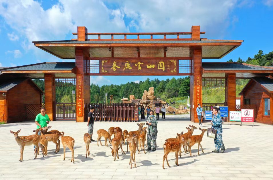Fun Liaoyuan Tourism 💯💯 tweet media