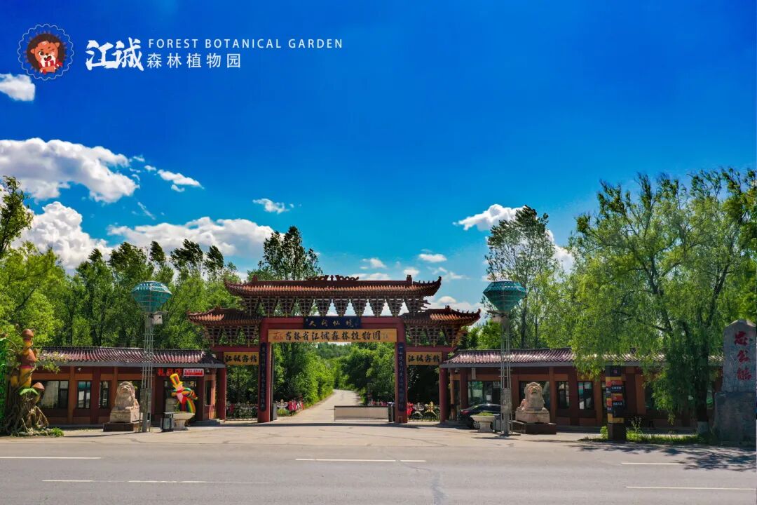 Fun Liaoyuan Tourism 💯💯 tweet media