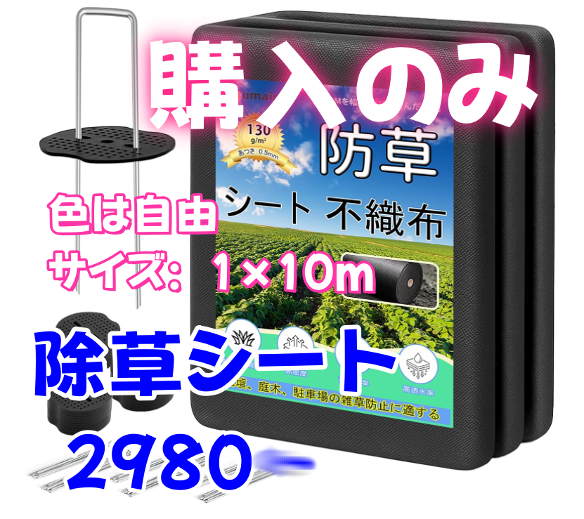 Amazonレビュー募集 （土日休みます）🌻葵 tweet media