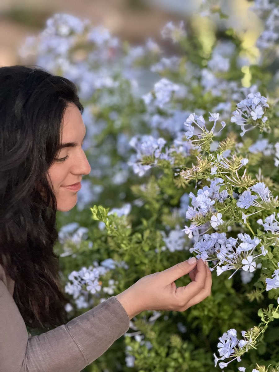 avolinekardell's tweet image. Arizona Spring 🪻#SpringVibes