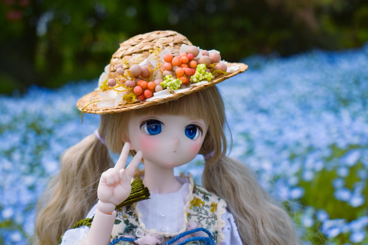 h38902's tweet photo. ネモフィラ見てきましたー！
人が少なくて穴場でした✨✨
#シロオっ子 https://t.co/jlvtAw2RgP