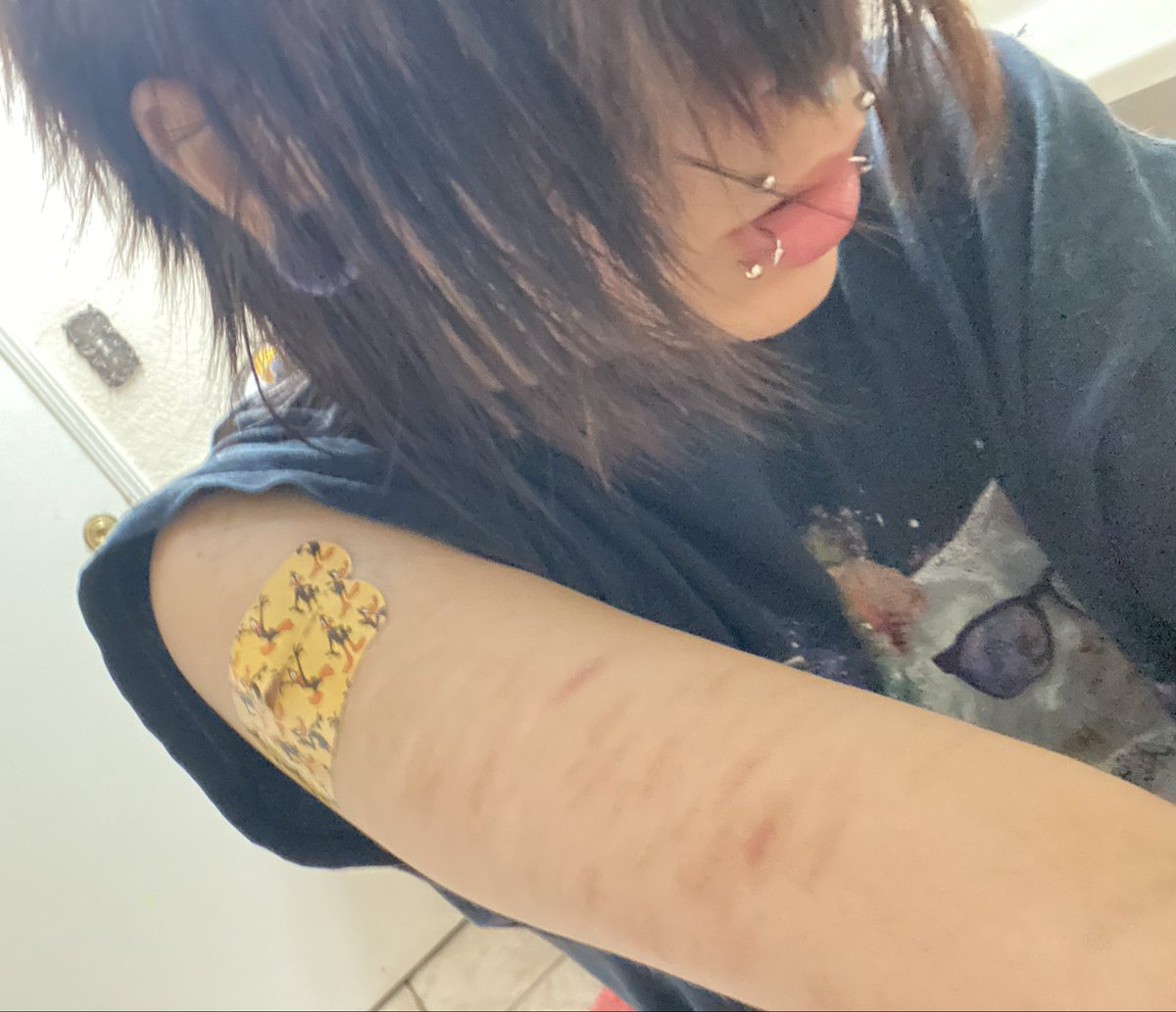 ☣︎zephyr☣︎ tweet media