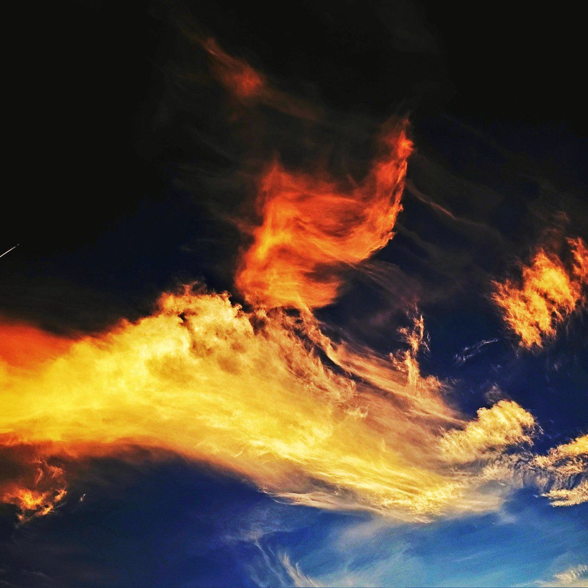 Spirit Realm tweet media