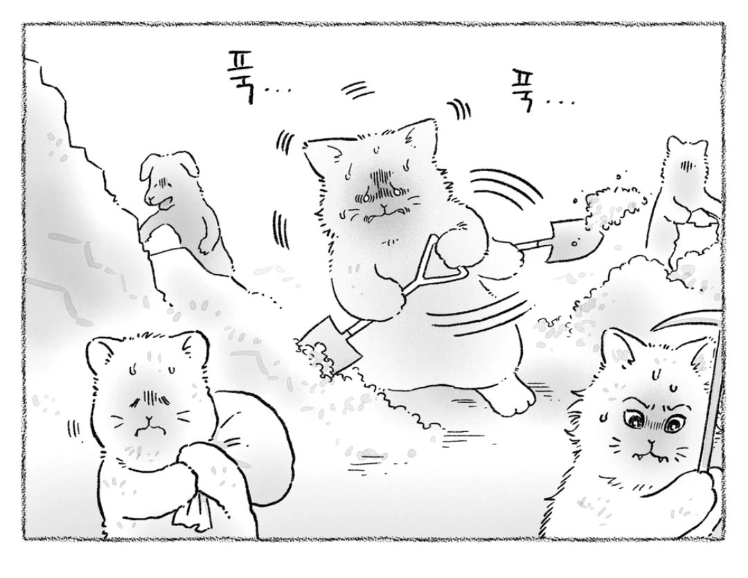 심야피플 tweet media