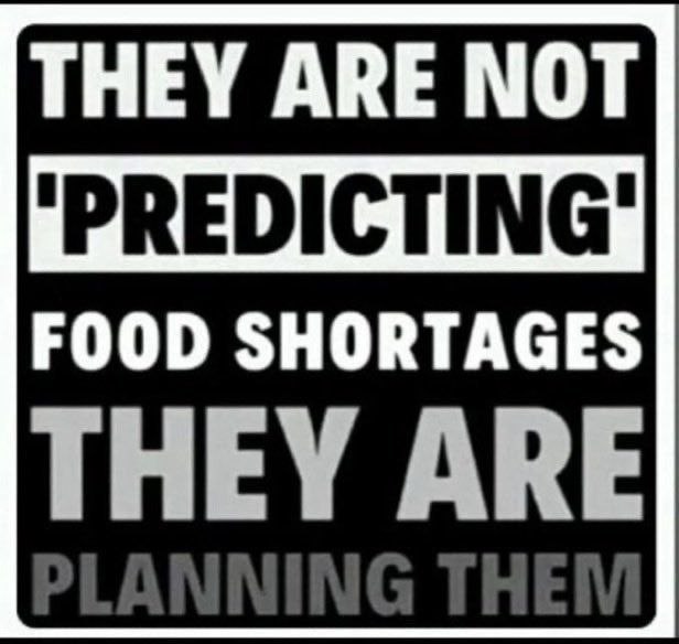 Agorist Nexus (Brandon) tweet media