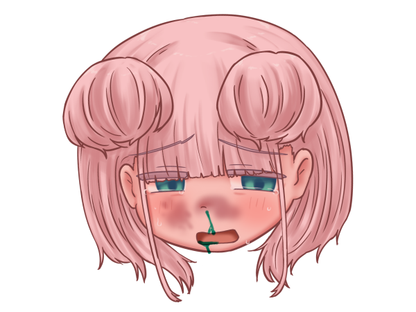 モモチャンカワイソウヘッド.png 