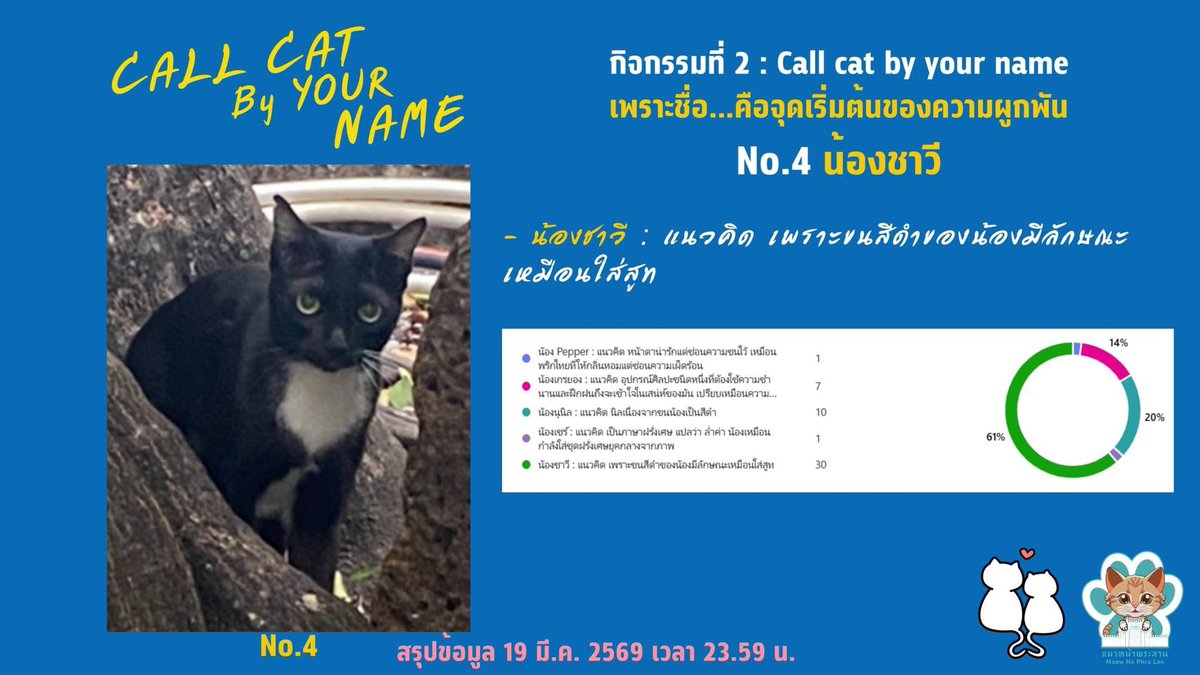 mumu_ss13's tweet photo. เห้อ กุตั้งชื่อไปเพี้ยนมาก มึงก็ยังจะมาโหวตกันอีก ไอ 61% นี้คือมึงสงสารชาวีมันบ้างไหม ชื่อนี้เดินไปไหนก็โดนล้อ พี่ชาวีพี่จะใส่สูทมาทำไม!!! https://t.co/NpS7XhWib3