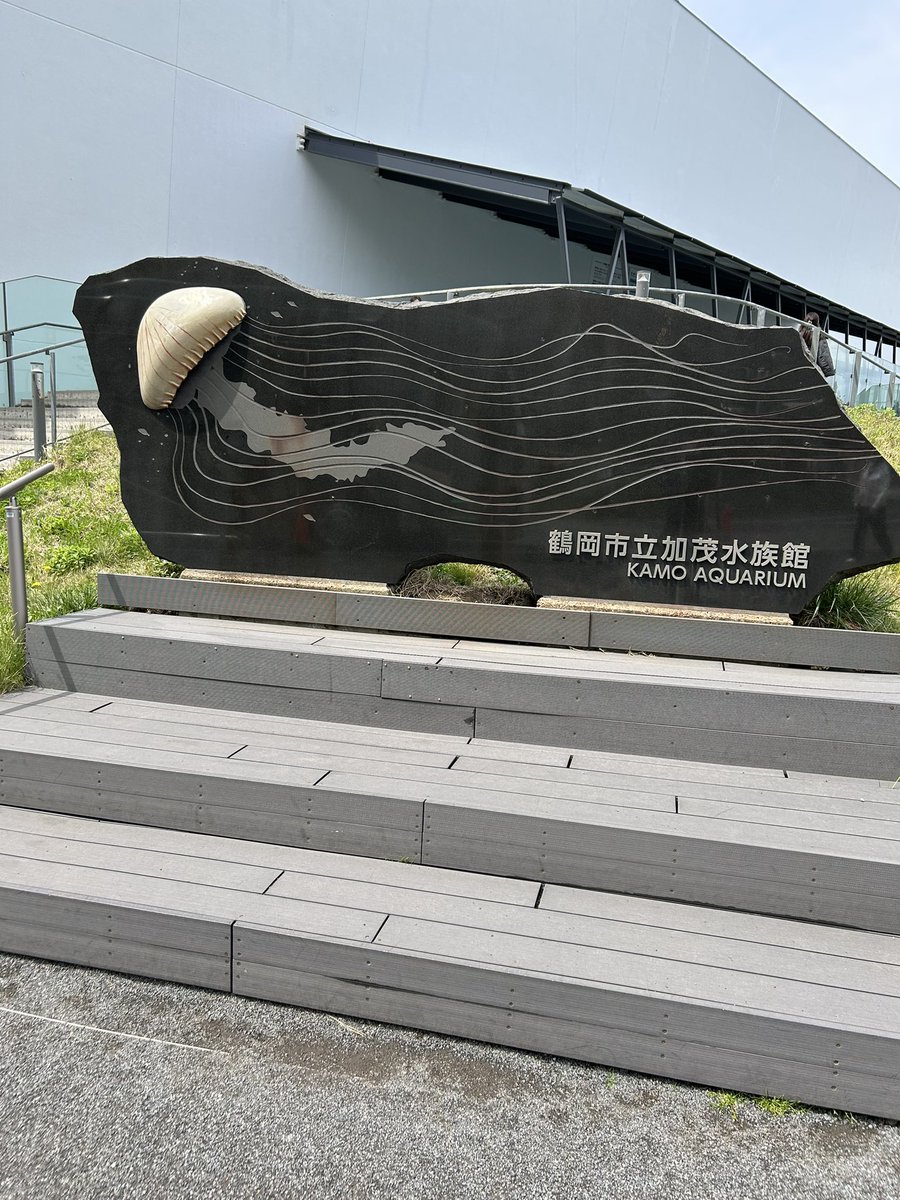 おさD@求道僧 tweet media