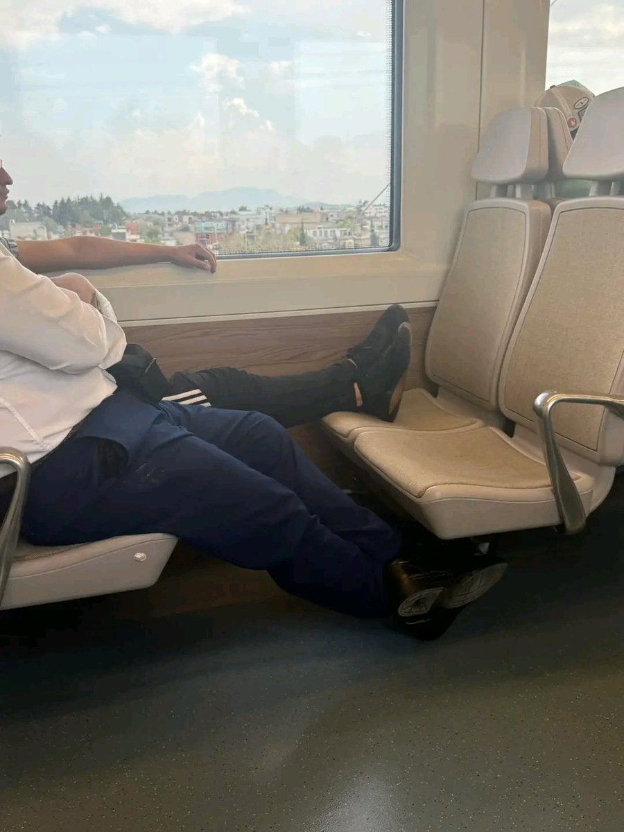 JuanCama14's tweet photo. -Los usuarios quejándose del servicio de transporte...

-También los usuarios 🐷🐽 https://t.co/YALPCzSYKD