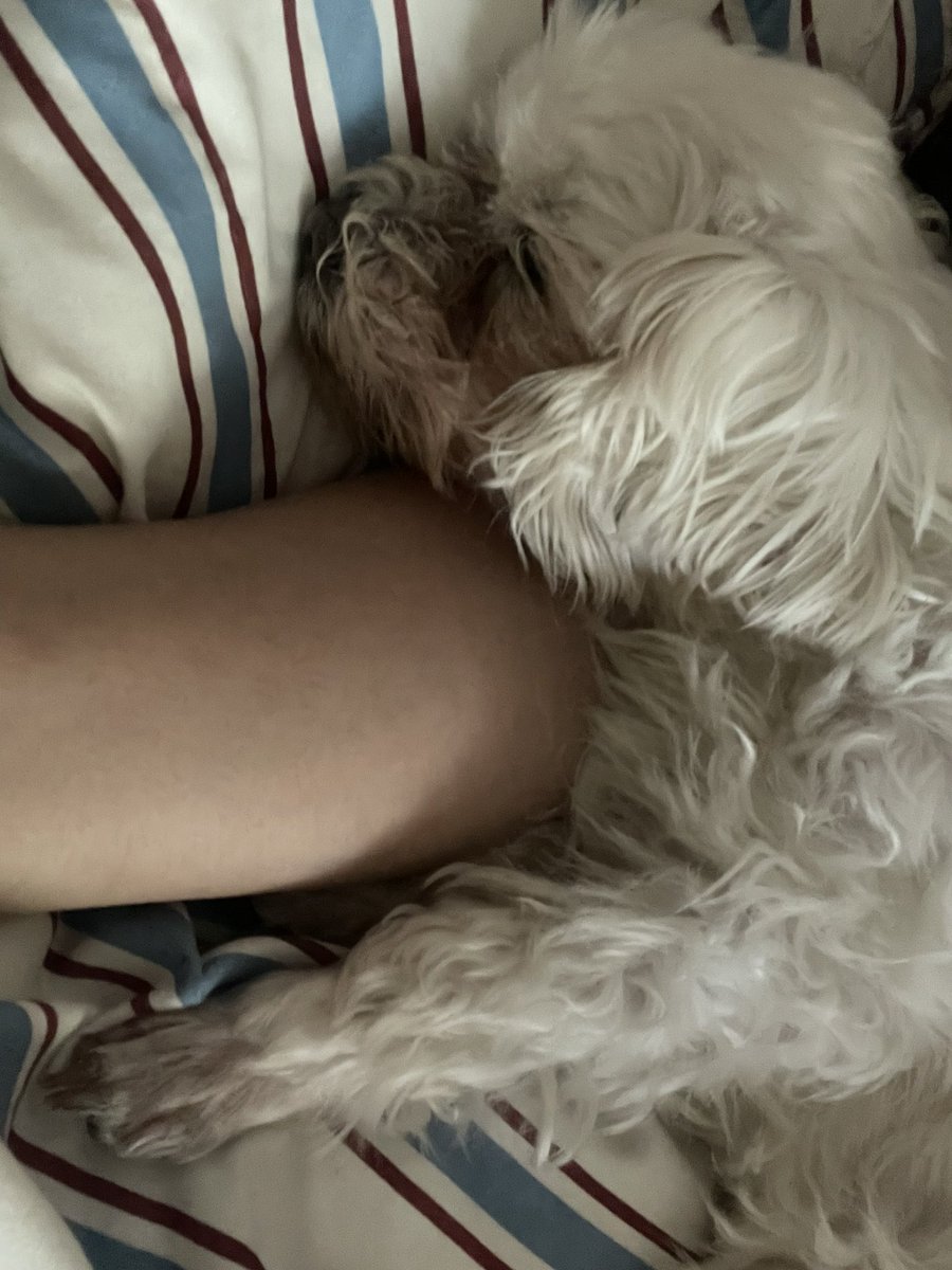 라쿠니 tweet media