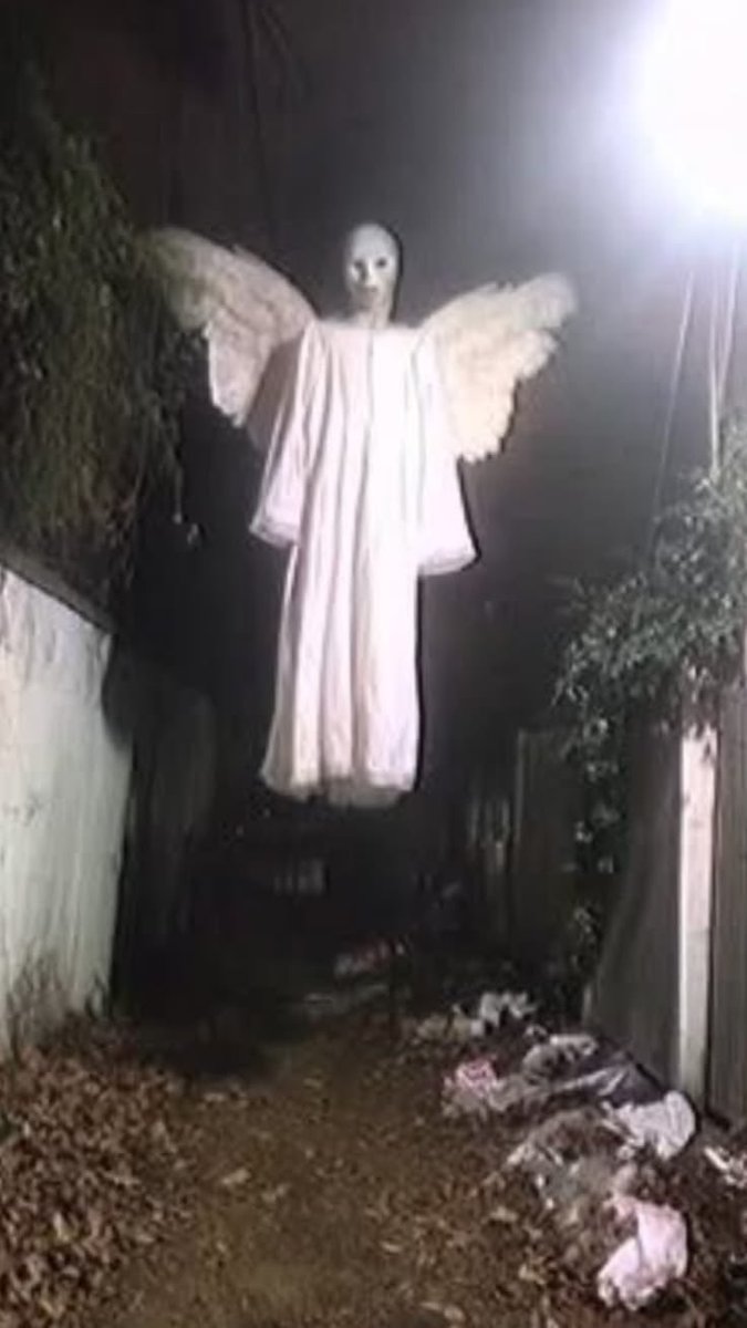 🐈‍⬛ tweet media