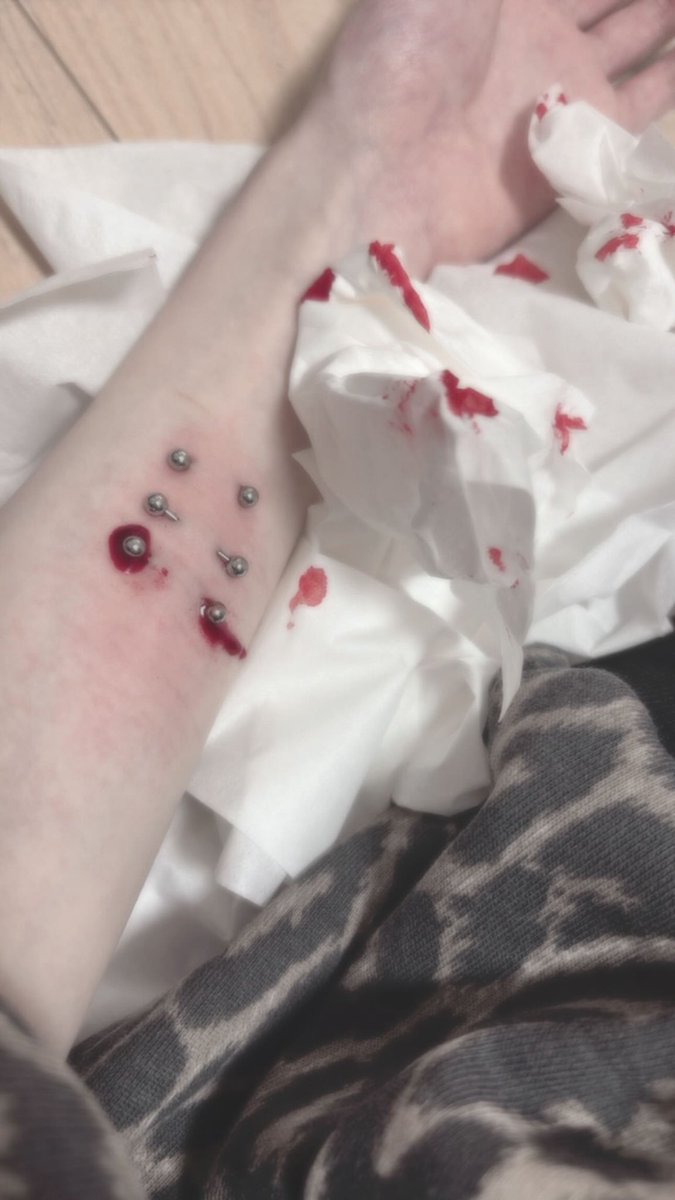 それいけ！ねこﾁｬﾝ！@いきる tweet media