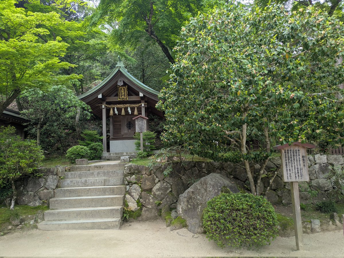 ❄ぺるそな❄次のライブ出現先はプロフ位置 tweet media