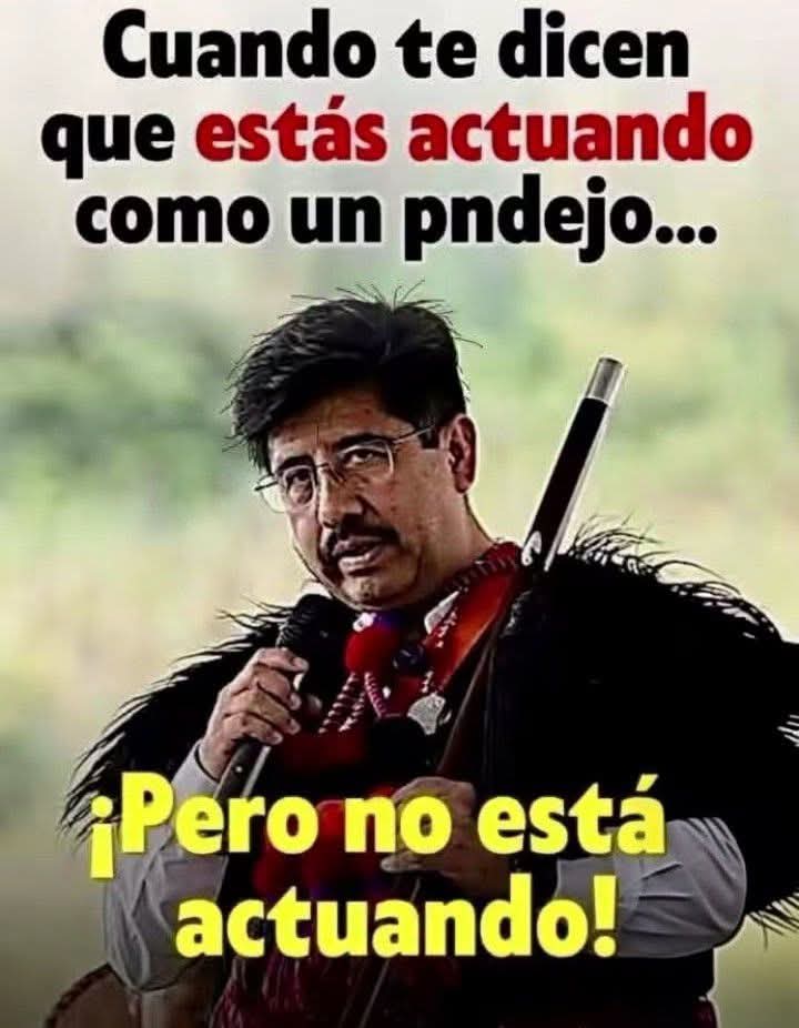 задирать tweet media