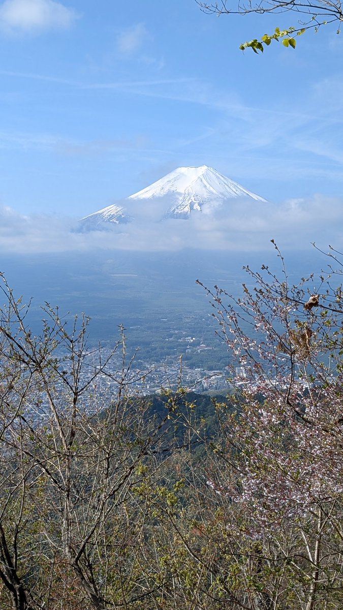 半袖船長🍥MtFUJI100 2026 完走！ tweet media