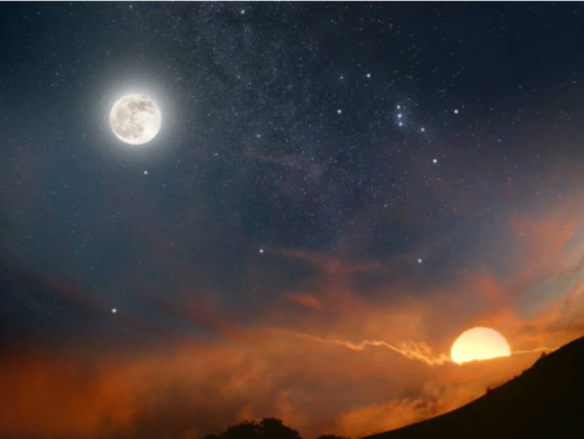 All day Astronomy tweet media