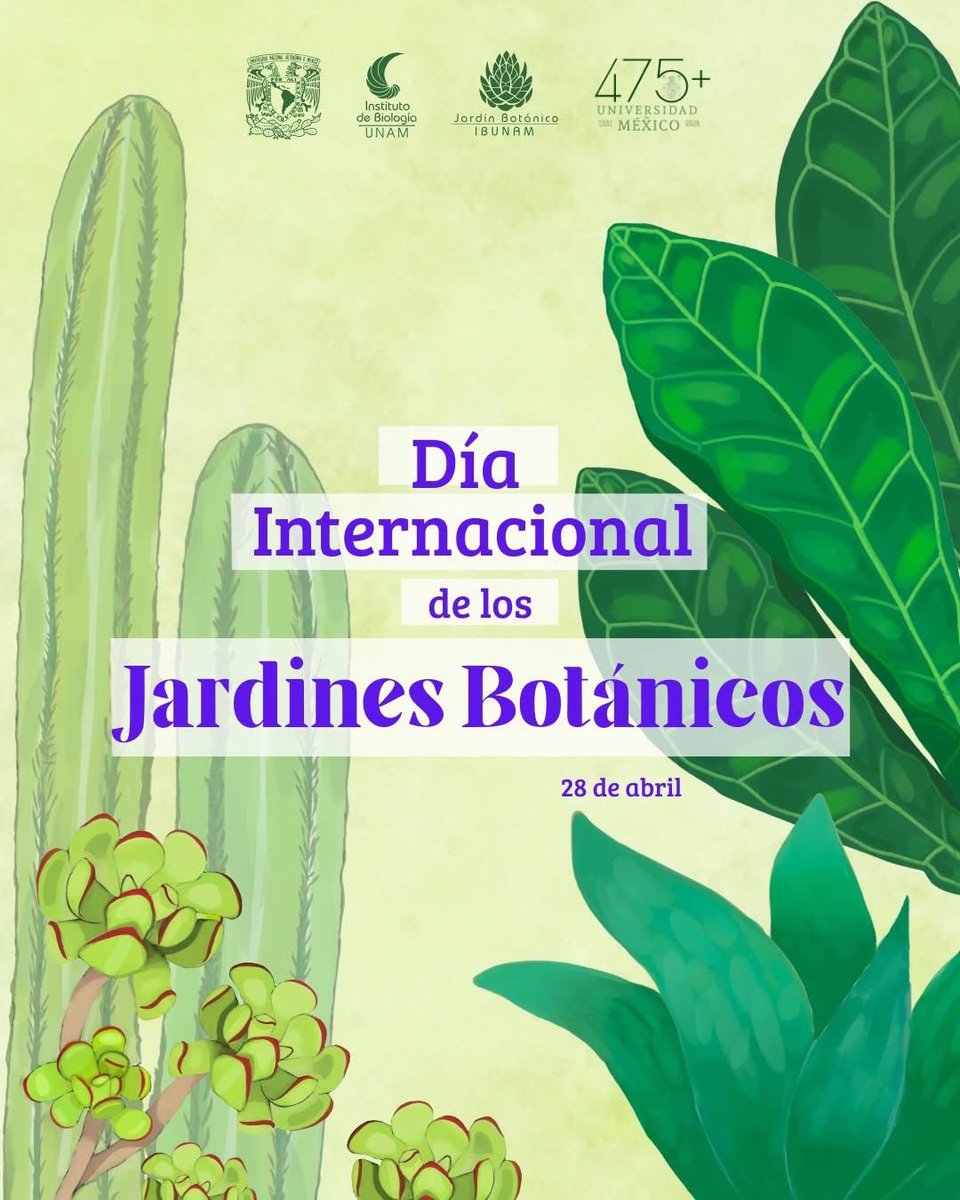 JardínBotánicoIBUNAM tweet media