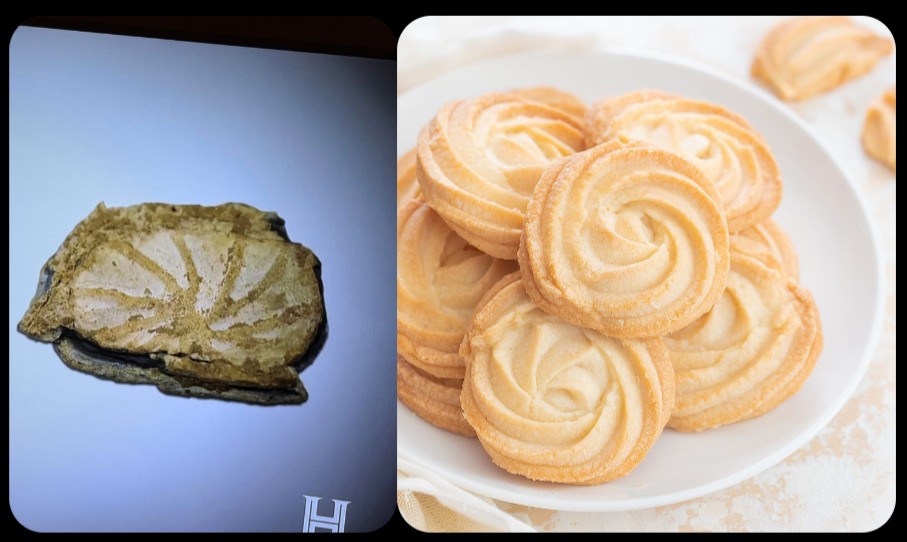 tyrhaegl's tweet photo. Meanwhile....Emma has finally  completed analysis of that starburst button. Turns out it was just a petrified butter cookie. 

No word on how Rick is taking this devastating news. #OakIslandCursers https://t.co/HnNEXsCa9o