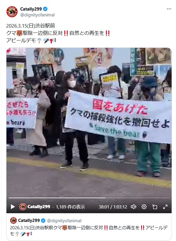 ぜろ（熊たん大好き😋） tweet media