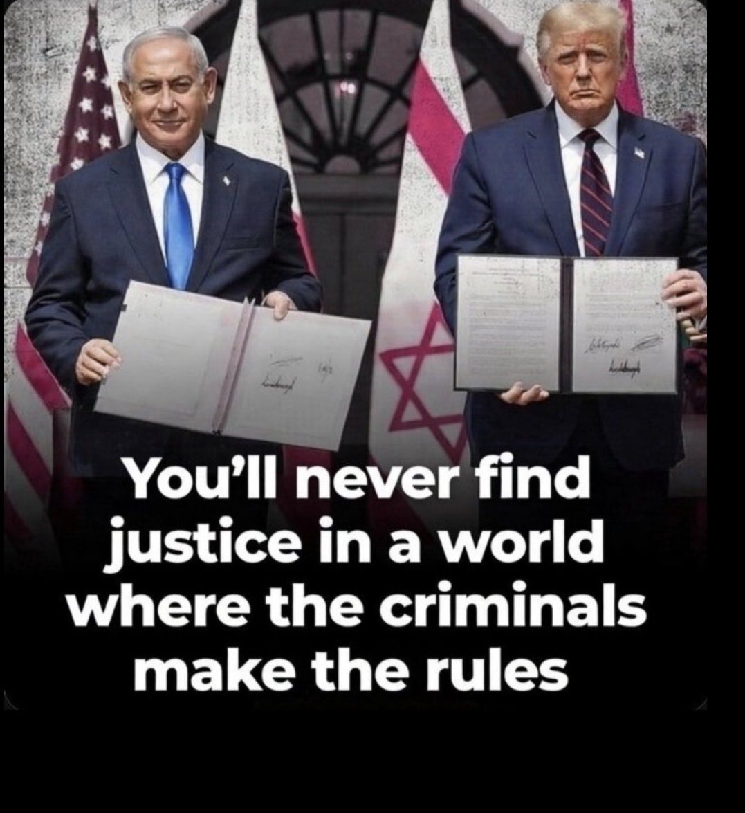 Bruce Bulus tweet media