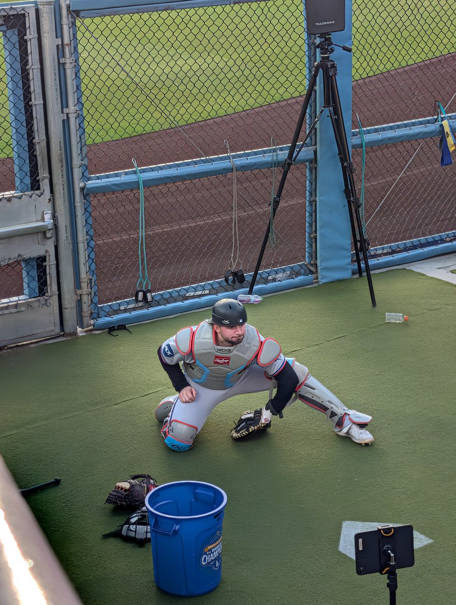 David A Marcillo tweet media