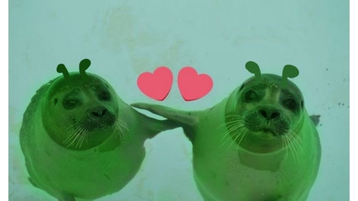 1Mrraptor's tweet image. #manga #indieartists #artists
#writers #stories #advice
Screw it dude I’m making my story 
Either people see and like it or nothing happens
Either way I wanna make it
I feel like im talking to ghosts since this post won’t get seen but might as well talk about it