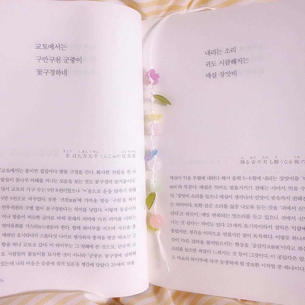 우루 아틀리에 tweet media