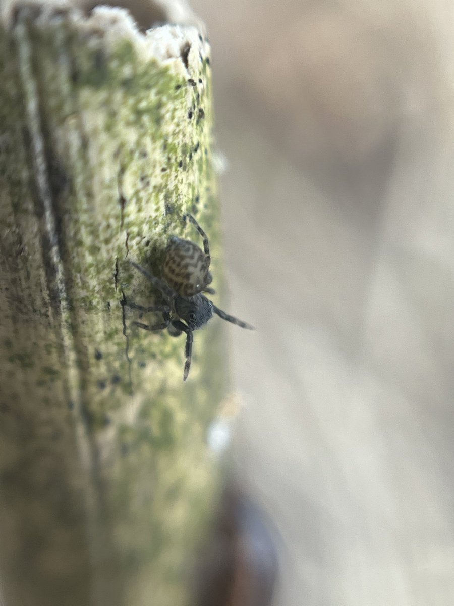 hungry eel on D4ugg’s tweet media