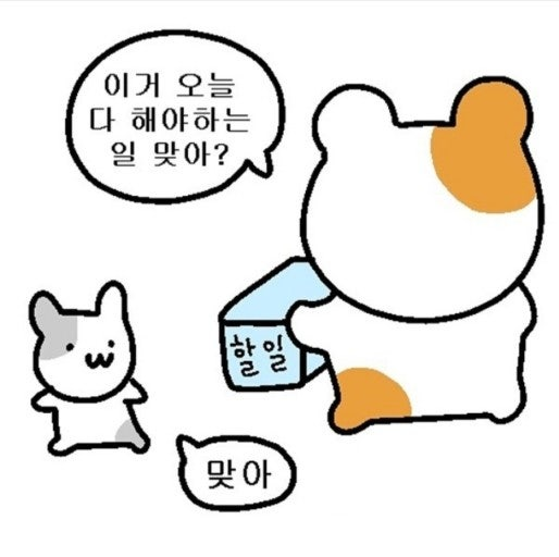 OnWhEe's tweet photo. 5. 결론 요약.

예금, 저축 하지마라.
연금저축펀드, IRP가 먼저다.
위하고도 여유 있으면 ISA로 배당주 챙겨라.

그리고 나서, 여유자금이 생기면 개별종목 구매해라.
그리고 여유자금 + 대출금으로 집사서 월세받아라.
집까지는 못사겠다면. 그 돈으로 개별종목 구매해라.

맨 위 3가지하기전에 무지성 적립식 매수 로 개별종목 구매하지마라. 제일 먼저해야하는건 자산 기틀 다지기다.