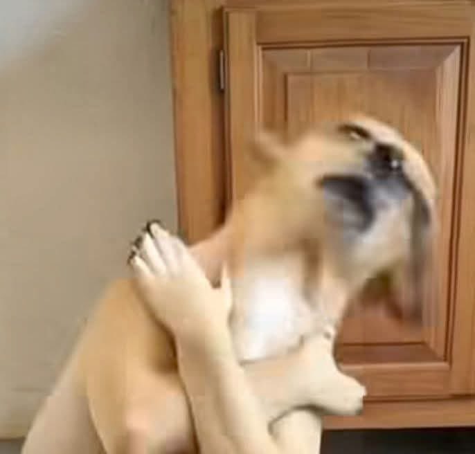 vante. ⁷ 🪭 VAI VER O BTS tweet media