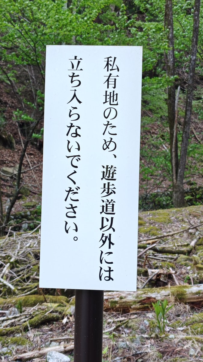 淀川篇吟 tweet media