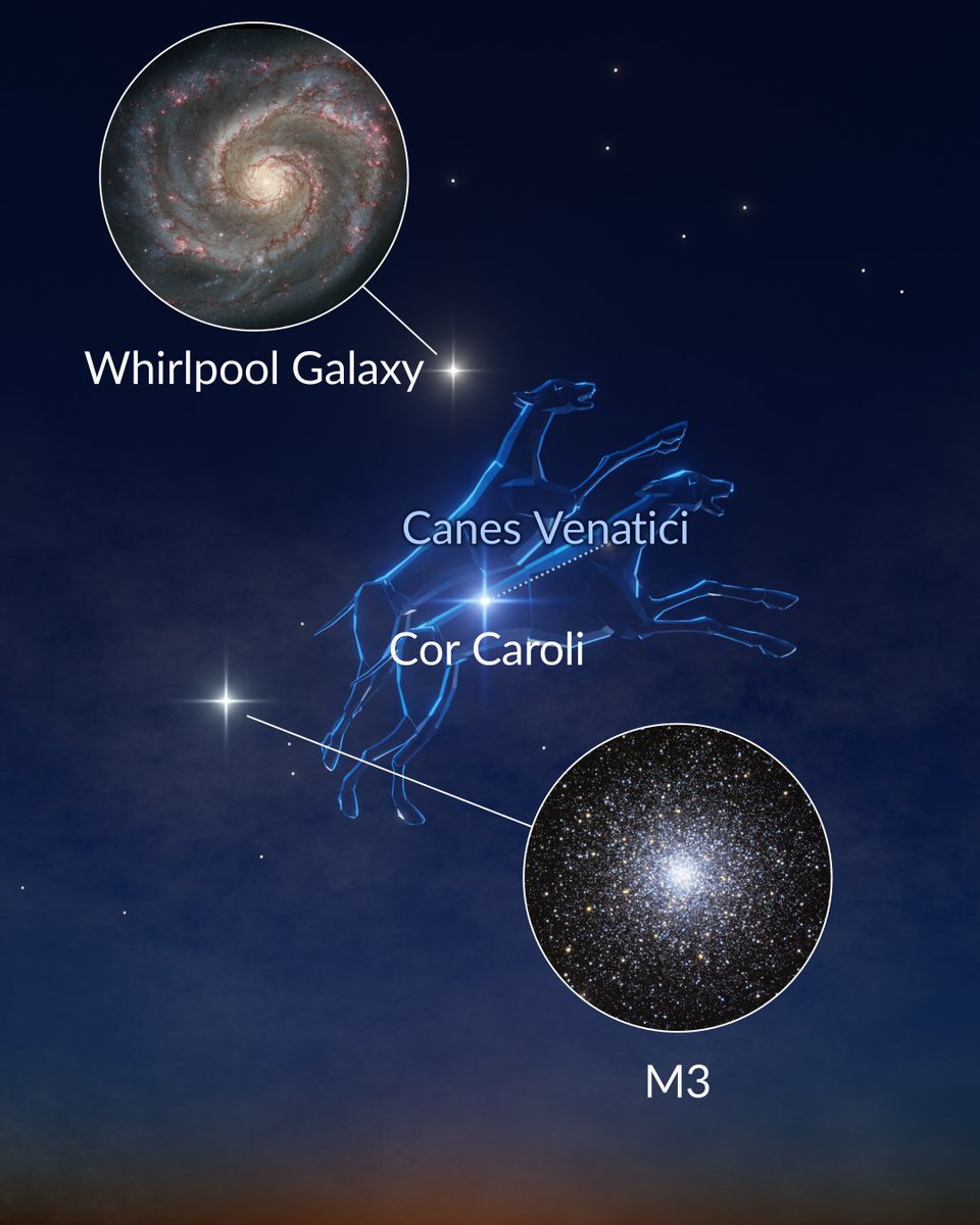 Star Walk tweet media