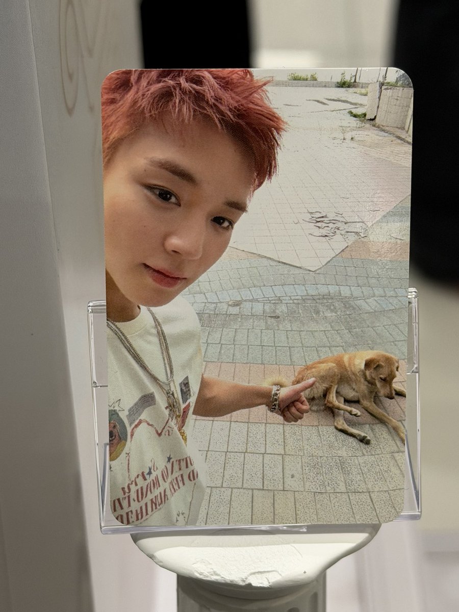 chi♡̷̷̷ tweet media