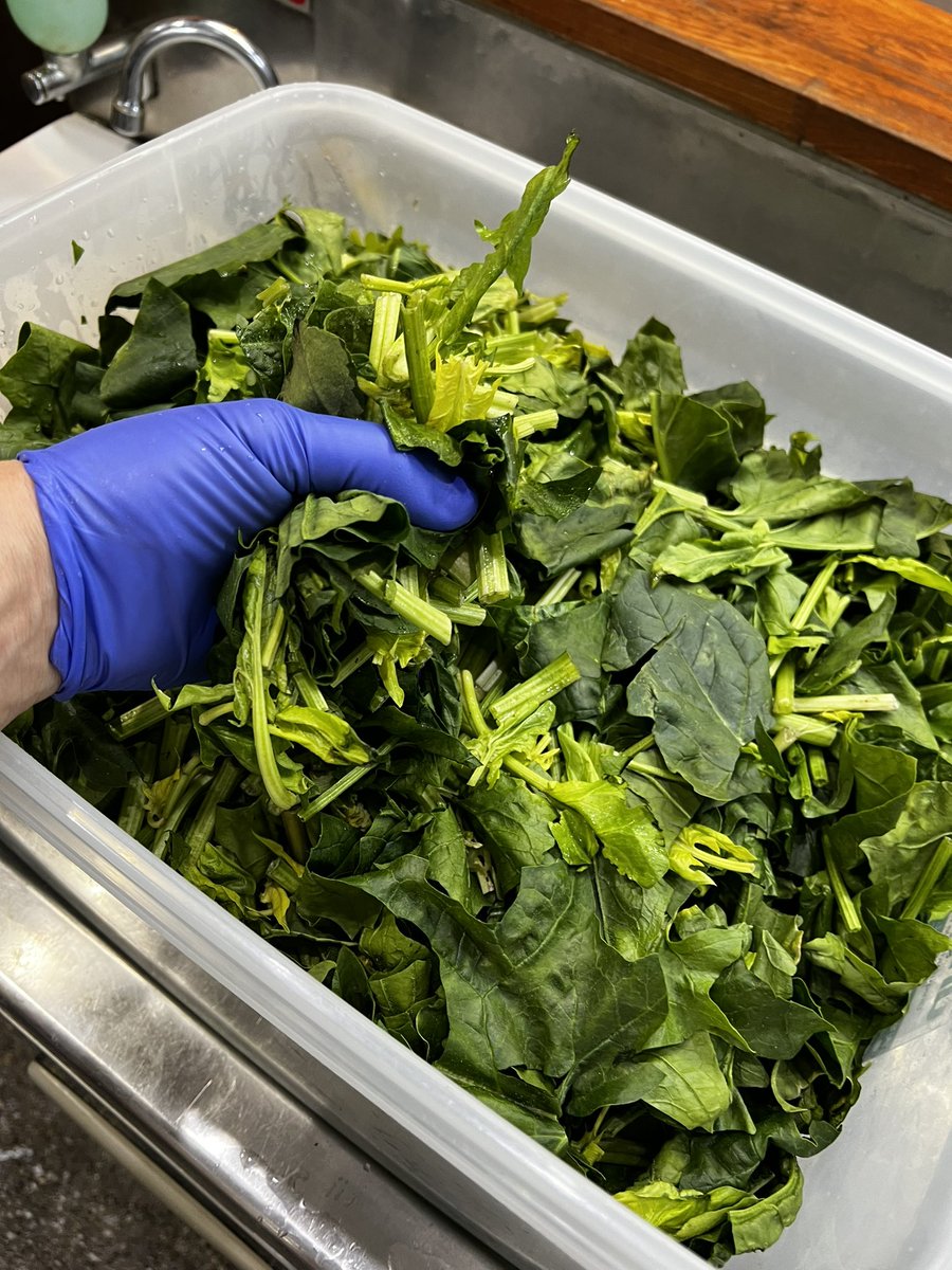 末廣家　総本山吉村家直系王道の味継承店 tweet media