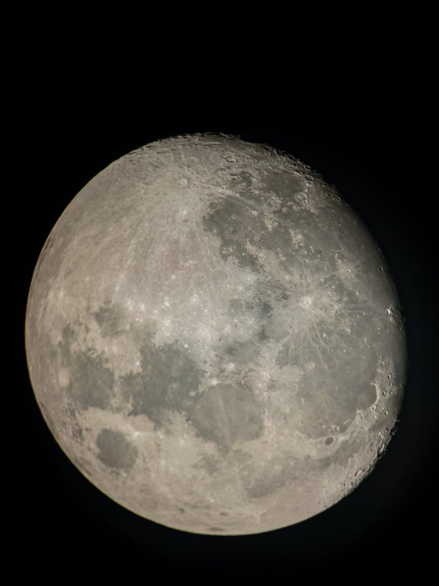 Seba Campos tweet media