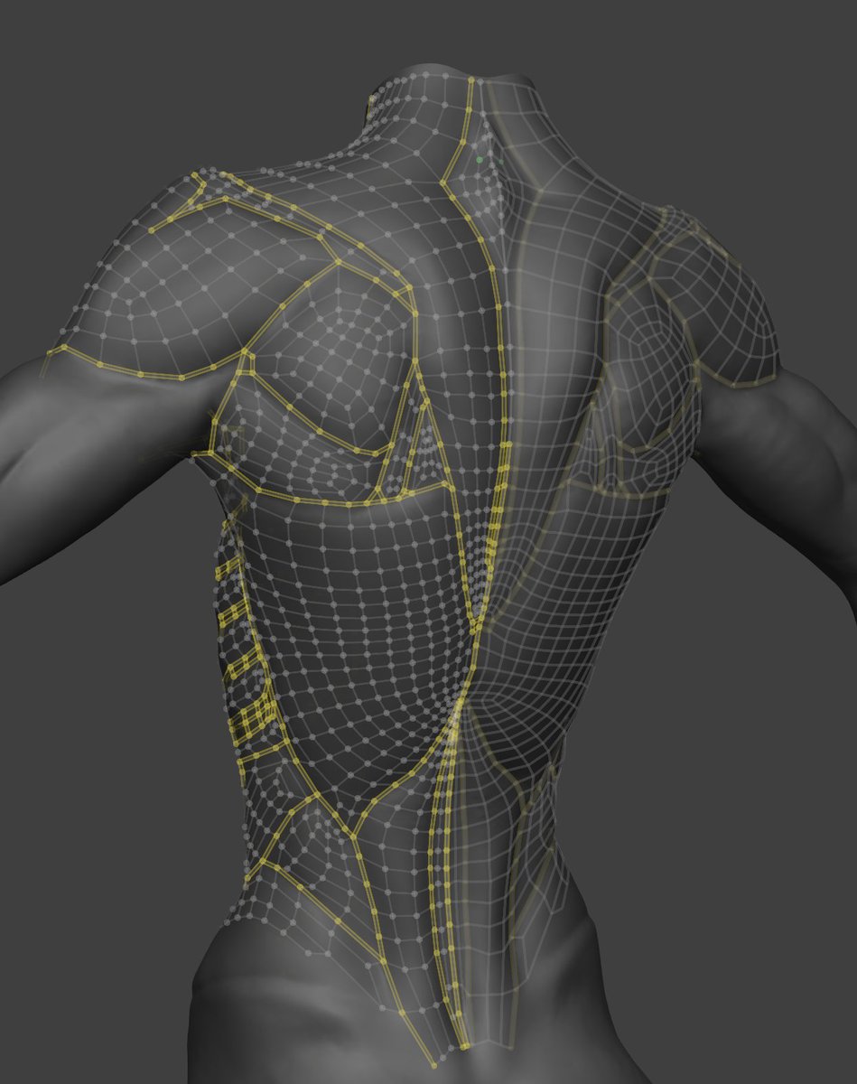Hella_Faithh's tweet photo. Almost done modeling the upper body!
#b3d #vrchat https://t.co/OQzRbeiD3M