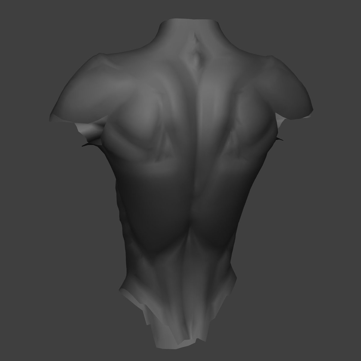 Hella_Faithh's tweet photo. Almost done modeling the upper body!
#b3d #vrchat https://t.co/OQzRbeiD3M
