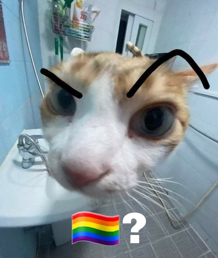 El Harry Popotter tweet media