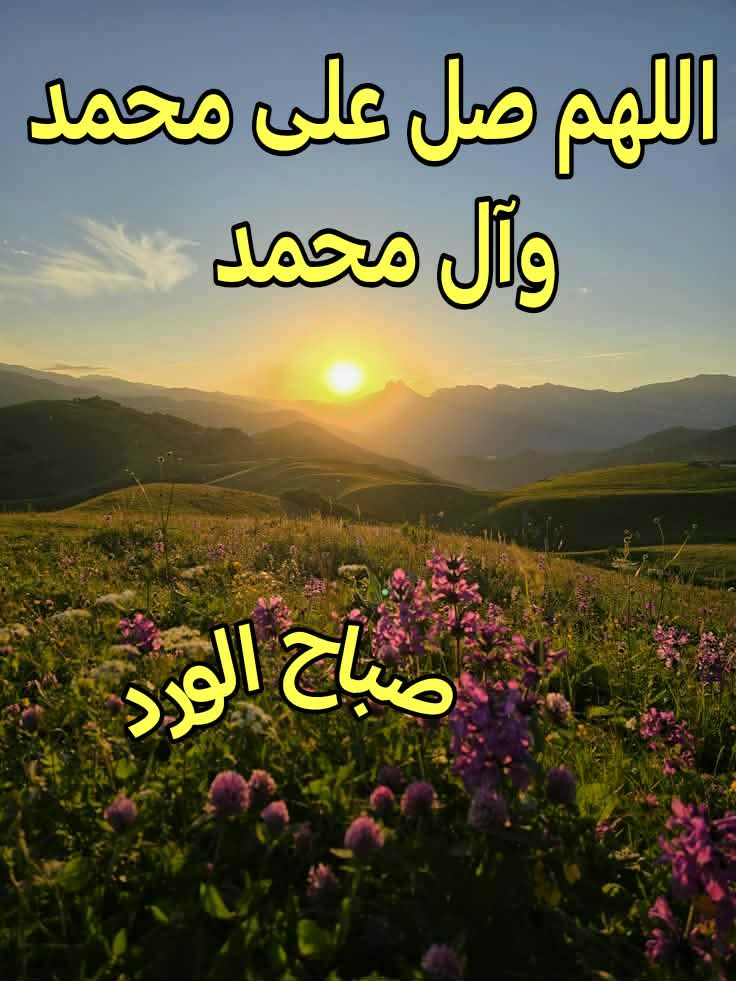 حمزة الحيدري tweet media