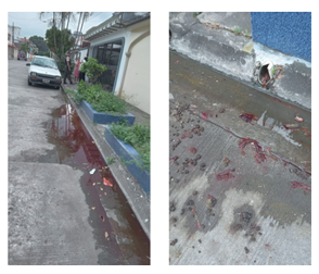 Bloque Defensores An tweet media