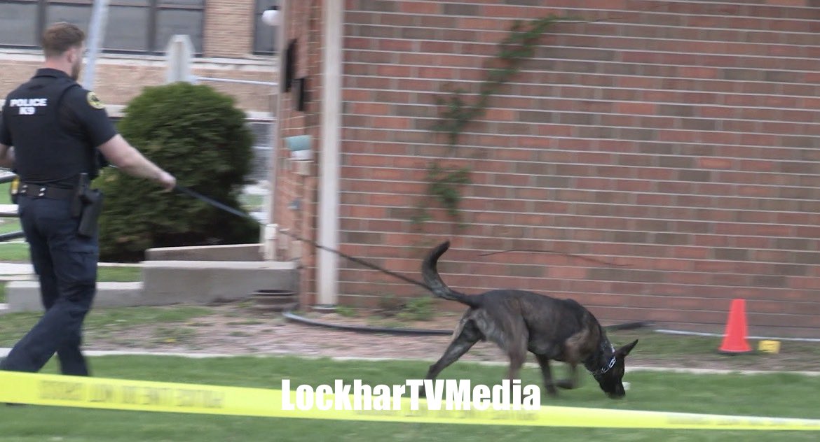 LockharTVMedia tweet media