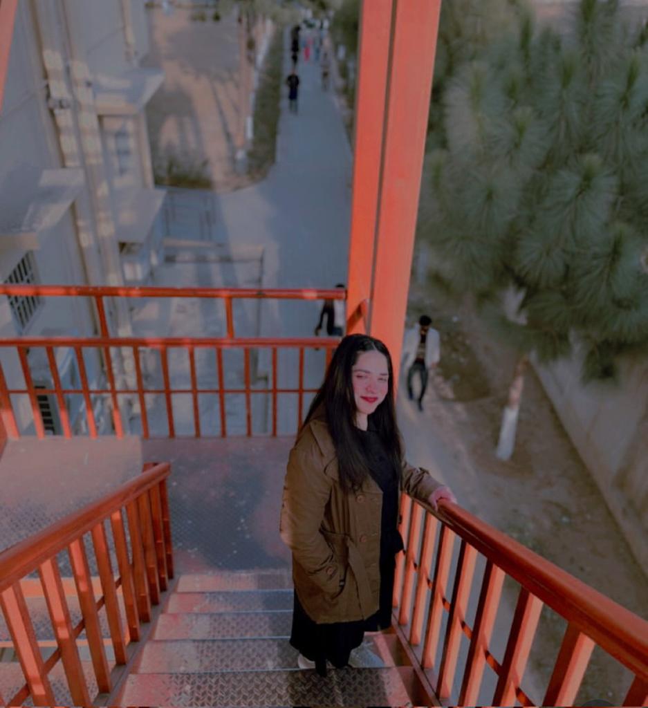 Hally Noor tweet media