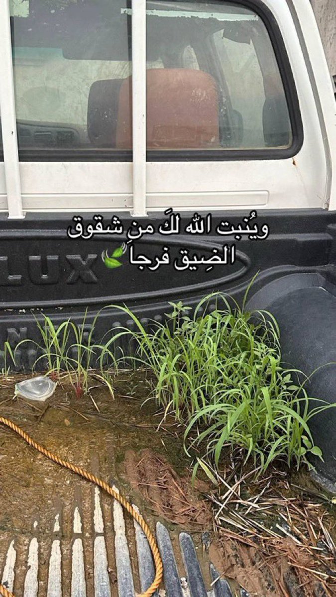 رشدي أباظه (@abohussinn) on Twitter photo 