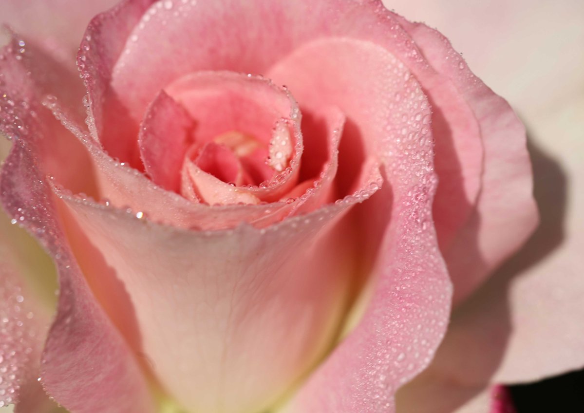 片柳弘史 tweet media