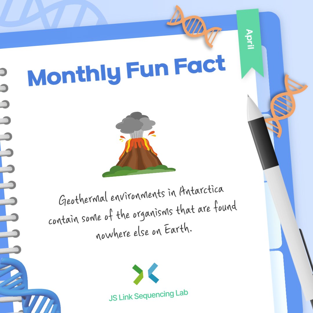 JSLinkSeqLab's tweet photo. JS Link Monthly Fun Fact 🌋

Did you know that geothermal environments in Antarctica contain some of the organisms that are found nowhere else on Earth? Volcanic activity results in liquid water and unique thermal moderation, allowing the persistence of diverse microbial communities.

JS Link's customer has created an integrated microbial dataset from geothermal sites in Antarctica, and the collection of this habitat's genomic data is presented here: https://t.co/S8NaWgkTfz

#JSLinkSequencingLab #Genomics #Illumina #PacBio #Sequencing #Microbiome #Metagenomics #NGS
