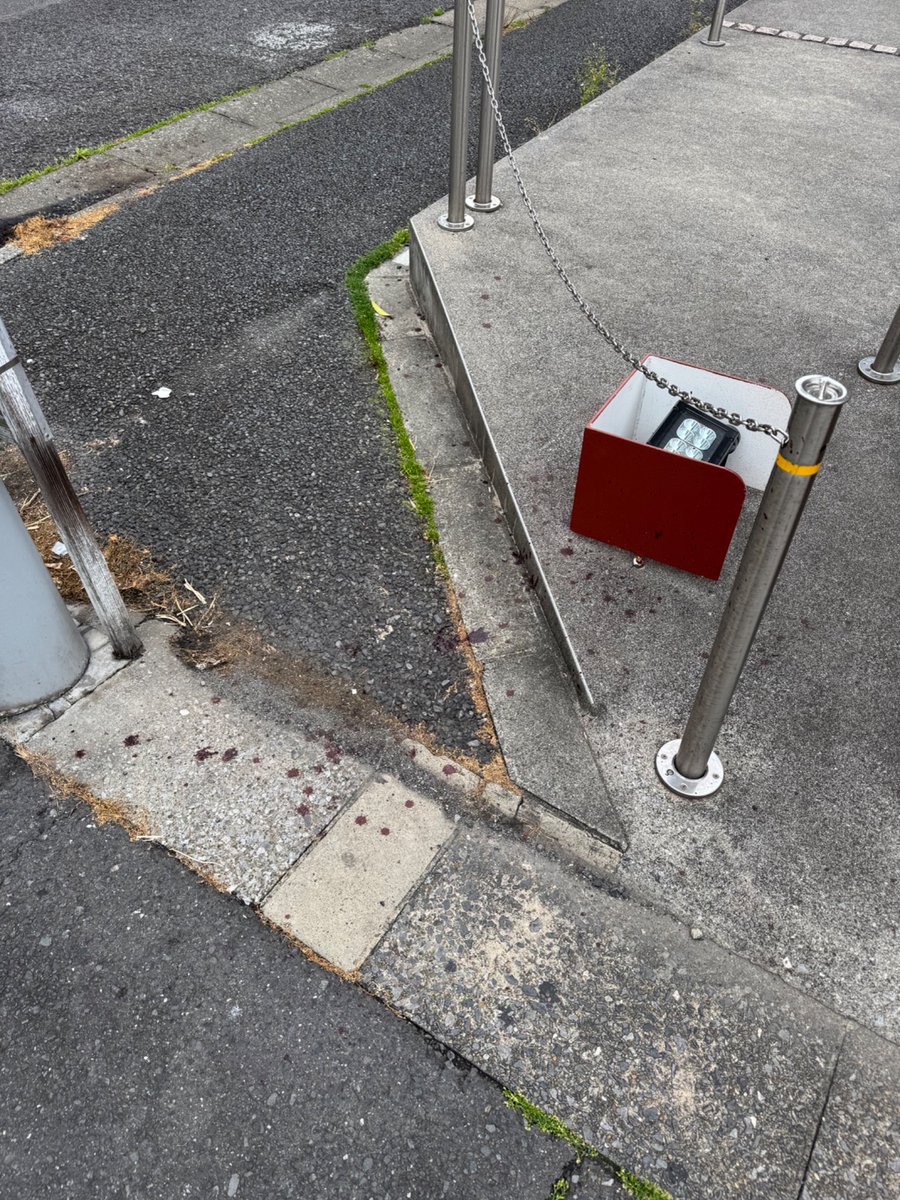 エレン tweet media