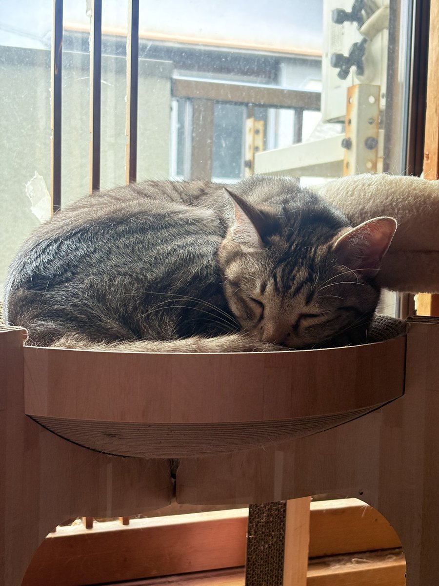 そら君 tweet media