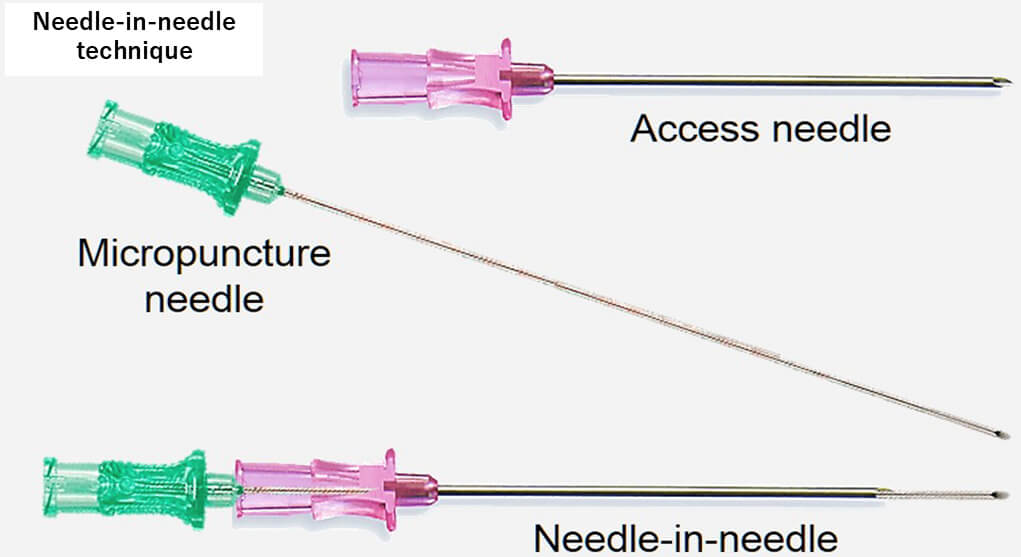 Twinkle xu tweet media